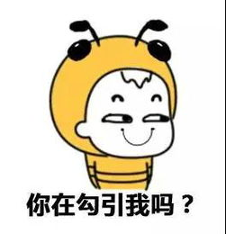 世界杯表情包的魔性进化史