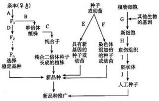 数据驱动的预测科学基础