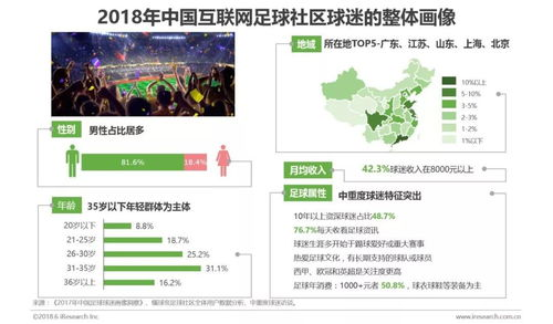 赛事筹备阶段核心数据指标解析