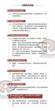 法甲赛事购票全解析