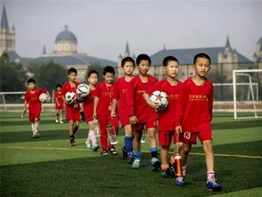 中国足球官网的核心功能与服务体系