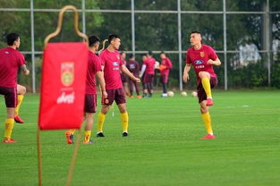 中国足球青训体系的现状与痛点