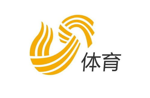 山东体育频道官方观看渠道解析