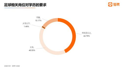 足球产业市场发展趋势解析，全球商业价值与投资机遇洞察