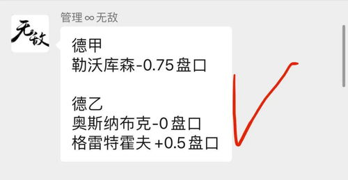 柏林球队数据追踪体系解析