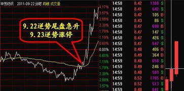 赛事数据深度剖析法