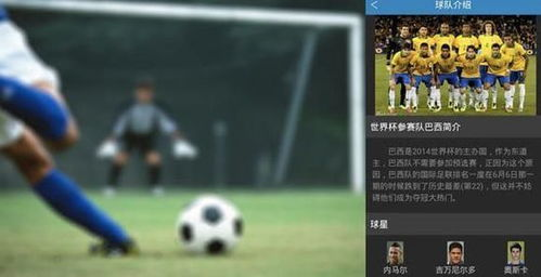 体育小强的预测逻辑解析
