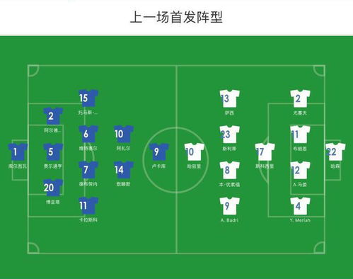 全民参与的热潮与多元化玩法