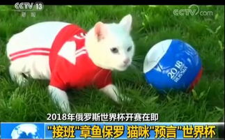 动物预言家的历史传承