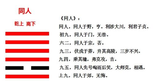 周易基础理论与赛事关联