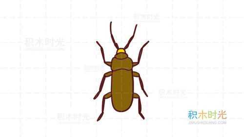 自然与人文的双重灵感来源