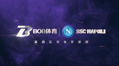 bob法甲 bob法甲赞助里昂