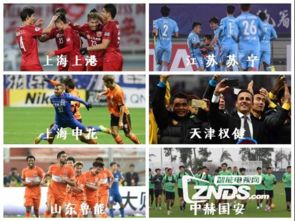中超免费直播三大核心平台