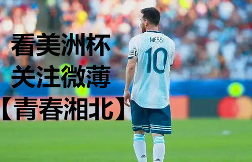美洲杯直播平台全解析