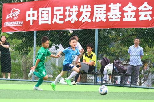 战略定位与运营机制