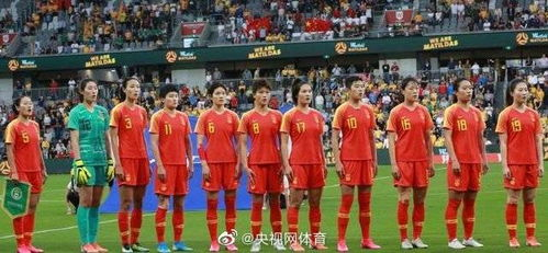 历史坐标中的铿锵玫瑰
