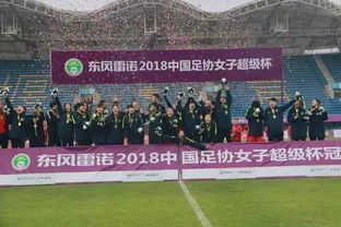 一、中国足协超级杯的赛事历史与独特地位