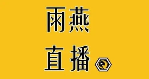 多维度观赛体验升级
