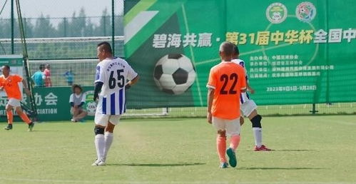 一、权威直播平台全解析