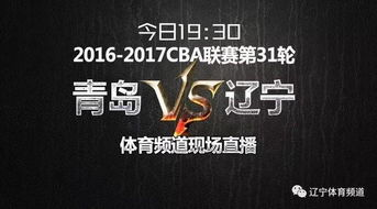 体育频道5的核心竞争力解析