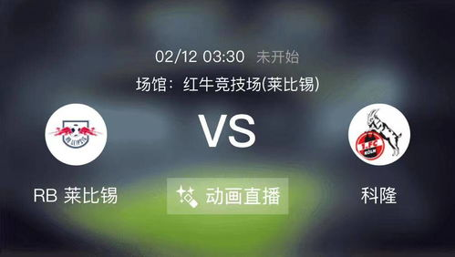 【赛事前瞻:三大联赛重点场次解读】