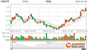 国产运动品牌龙头的发展动能