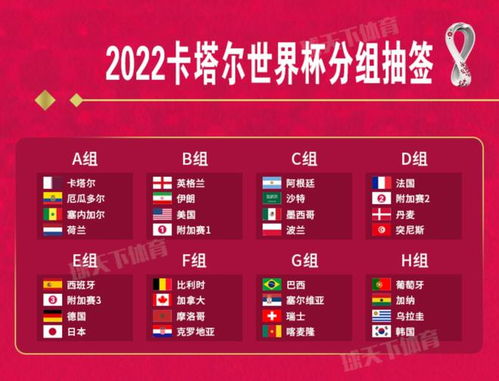 参赛队伍实力对比解析
