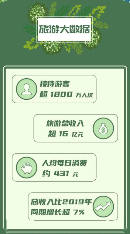挪威队阵型架构解析