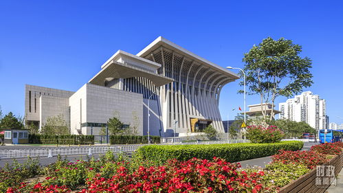 时空坐标中的文化基因