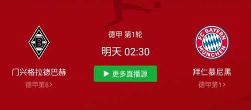 赛程亮点抢先看