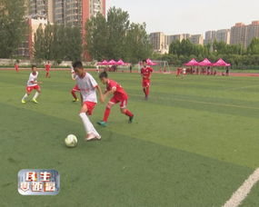 2028欧洲杯的三大核心亮点