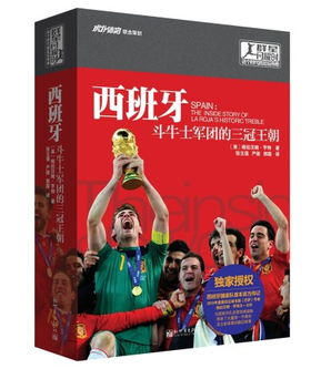 2010世界杯冠军，西班牙斗牛士军团登顶的足球史诗