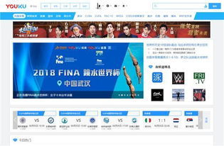 足球赛事在线观看指南：直播吧平台功能解析与使用技巧