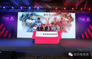 五星体育频道核心价值解析