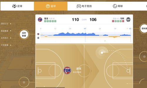 体育预测的科学基础