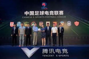 中国体育竞猜，机遇与挑战并存的新兴市场