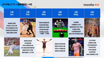 一、央视体育竞猜核心观赛平台解析