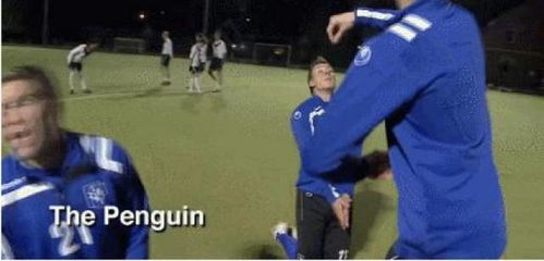 足球人口比例颠覆传统认知