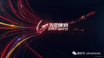 五星体育频道直播内容构成