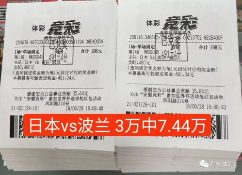 赛事基本面深度解构