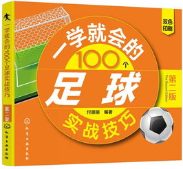 数据模型构建基础框架