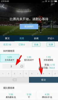 中国体育竞猜网：热门赛事与投注技巧解析