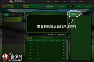电视端观看指南
