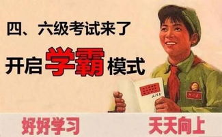 核心理论模块精要解析
