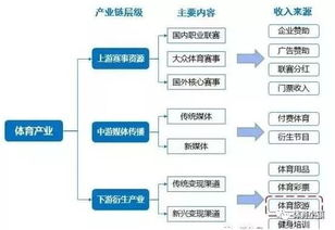 体育预测网站：赛事分析平台的未来趋势与核心功能解析