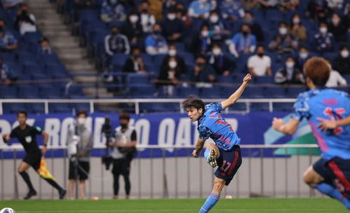 卡塔尔世界杯日本队前景分析，实力评估与晋级预测
