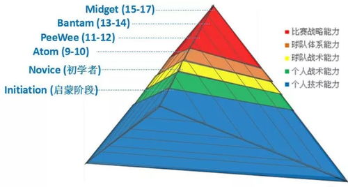 世界杯加拿大与巴西队对比解析，战术数据全透视