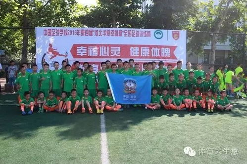 中国足球学校的兴起与发展背景