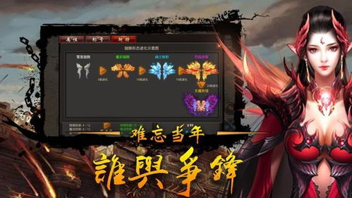 四、设置与优化游戏体验