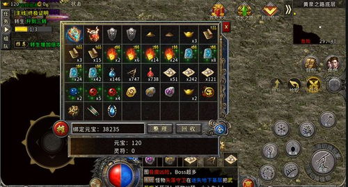 五、游戏设置与优化